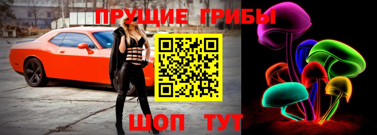 Галлюциногенные грибы Psilocybine cubensis  Вход с VPN  Пугачёв 